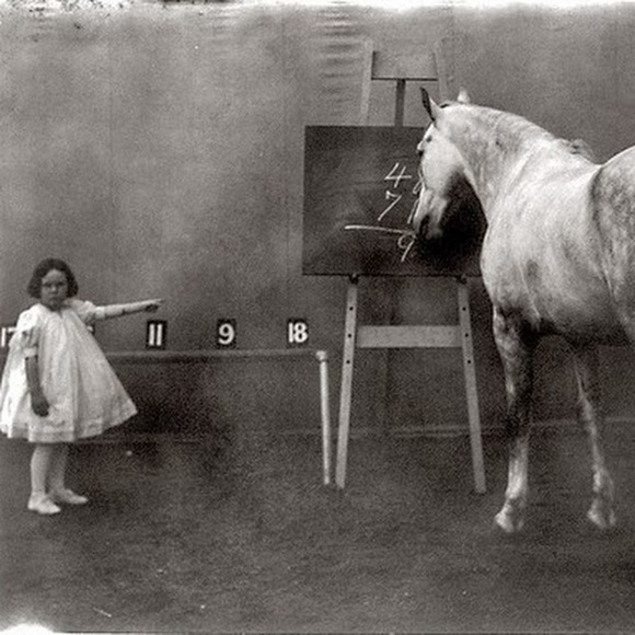 Meet your Posher, Rachael - Picture 1 of 1